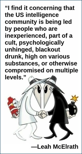 “I find it concerning that the US intelligence community is being led by people who are inexperienced, part of a cult, psychologically unhinged, blackout drunk, high on various substances, or otherwise compromised on multiple levels.”