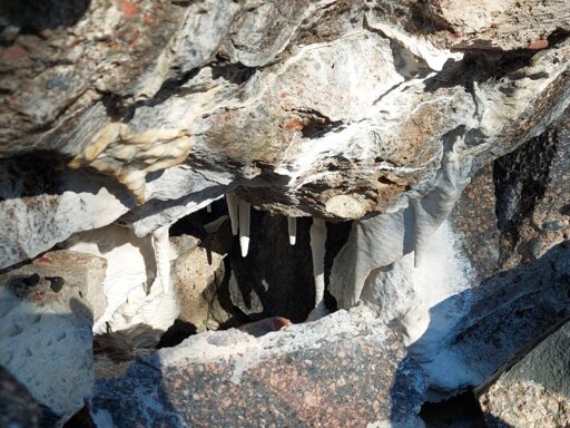 Photo of a little cave opening where white formations are drooping of the cave roof.