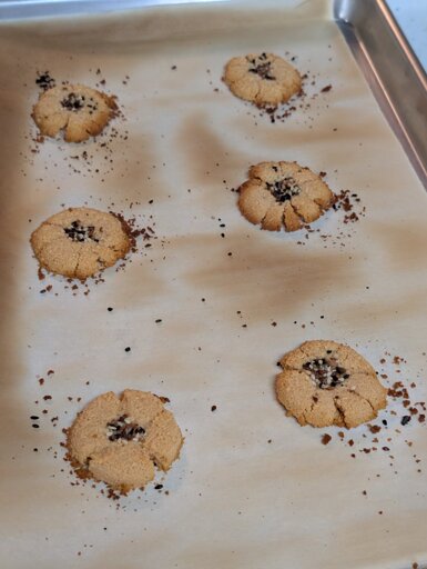 Golden brown disks of powdered cheese with sprinkles of seasoning on a baking sheet.